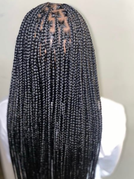 Image of  Women's Hair, Protective, Hairstyles, Braids (African American)