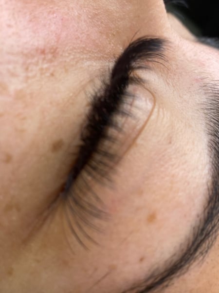 Image of  Lash Type, Eyelash Extensions, Lashes