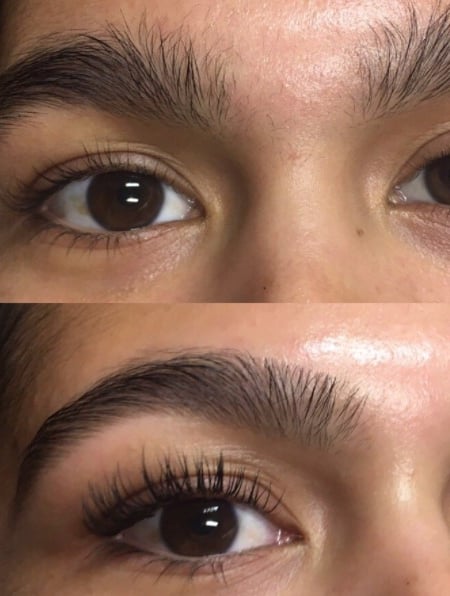 Image of  Brows, Arched, Brow Shaping, Brow Technique, Wax & Tweeze