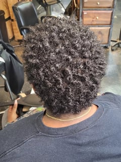 View Women's Hair, Hair Length, Pixie, Layered, Haircuts, Curly, Coily, Natural, Hairstyles, Short Ear Length - Taberah Parker, Inglewood, CA