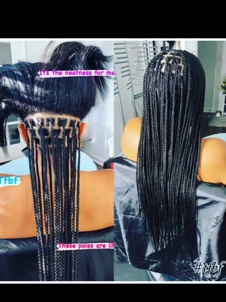 Image of  Women's Hair, Black, Hair Color, Braids (African American), Hairstyle