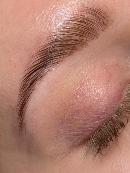 Image of  Brow Shaping, Brows, Brow Tinting, Wax & Tweeze, Brow Technique, Brow Lamination