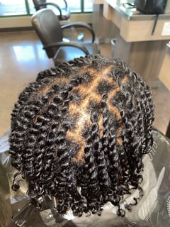 View Hairstyles, Men's Hair, Braids (African American) - Kiara Carmon, Tampa, FL