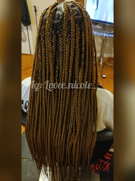 Image of  Women's Hair, Braids (African American), Hairstyles, Boho Chic Braid, Hair Extensions, Protective