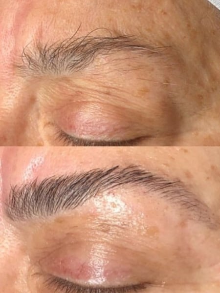 Image of  Brows, Arched, Brow Shaping, Wax & Tweeze, Brow Technique, Brow Tinting, Brow Lamination
