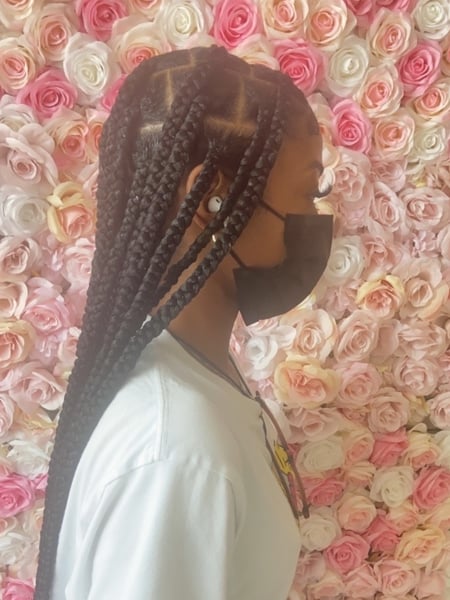 Image of  Natural Hair, Braids (African American), Protective Styles (Hair), Hairstyle
