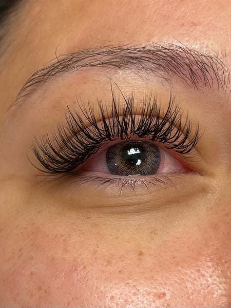 Image of  Lashes, Lash Extensions Type, Lash Extensions Style