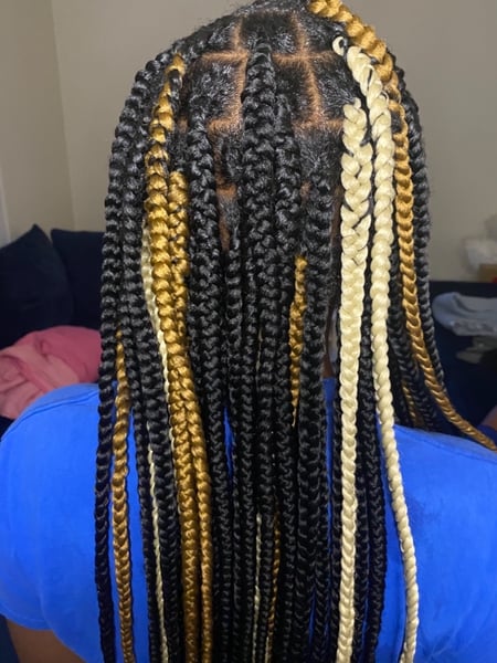 Image of  Braids (African American), Hairstyle