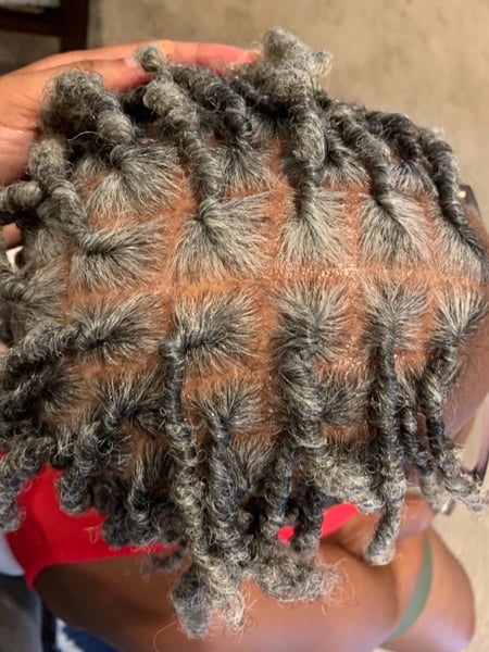 Image of  Women's Hair, Locs, Hairstyles, Natural, Protective, 4B, Hair Texture, 4C