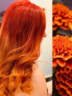 View Red, Women's Hair, Hair Color, Fashion Hair Color, Full Color, Long Hair (Mid Back Length), Hair Length, Layers, Haircut, Hairstyle - Kimmie, Sarasota, FL