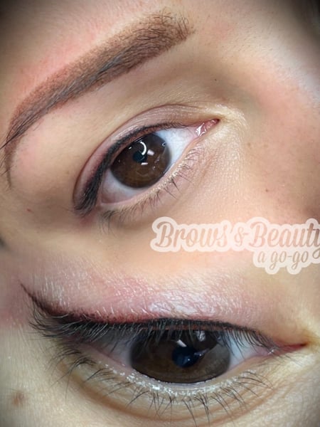 Image of  Black, Colors, Makeup, Olive, Skin Tone, Brow Technique, Brows, Ombré, Microblading, Daytime, Look, Permanent Eyeliner, Cosmetic Tattoos, Cosmetic