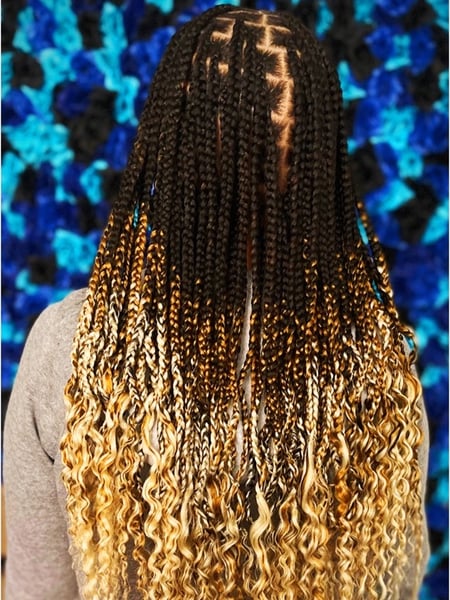 Image of  Hair Color, Black, Blonde, Ombré, Braids (African American), Women's Hair, Hairstyles