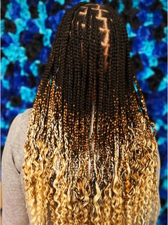 View Braids (African American), Ombré, Blonde, Black, Hairstyles, Women's Hair, Hair Color - Sharkari Jones, Inkster, MI