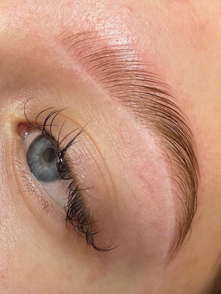 Image of  Brow Lamination, Brows, Brow Shaping, Wax & Tweeze, Brow Technique, Brow Tinting