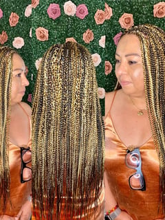View Braids (African American), Hairstyles, Hair Extensions, Protective - Estella Sherise, Inglewood, CA