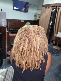 View Locs, Ombré, Highlights, Hair Color, Full Color, Natural, Women's Hair, Hairstyles - Taberah Parker, Inglewood, CA