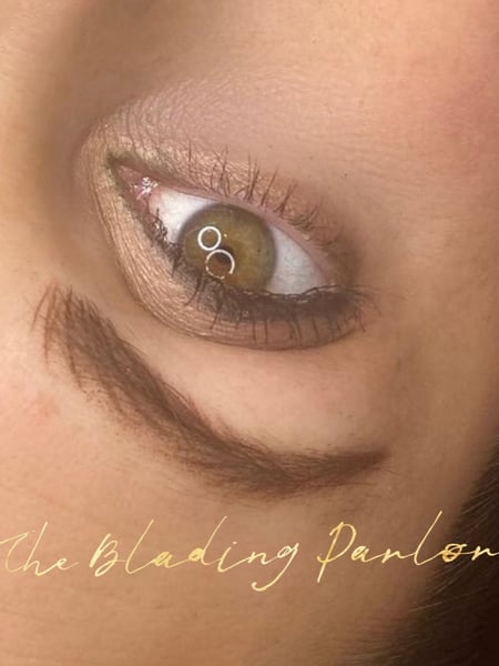 Image of  Brows, Brow Shaping, Arched, Microblading, Nano-Stroke