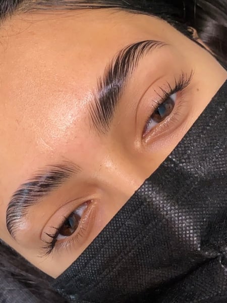 Image of  Brows, Arched, Brow Shaping, Rounded, Wax & Tweeze, Brow Technique, Brow Tinting, Brow Lamination