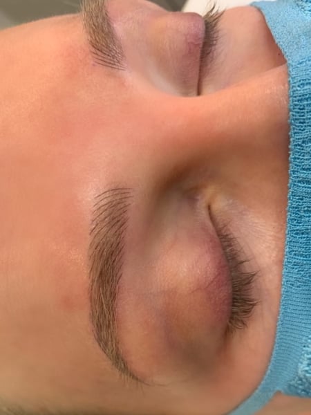 Image of  Brows, Brow Shaping, Arched, Brow Technique, Wax & Tweeze, Microblading, Brow Sculpting, Nano-Stroke