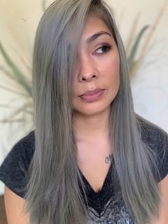 View Women's Hair, Silver, Hair Color - Amber Stipanovich, Brandon, FL
