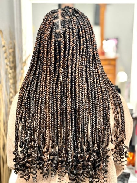 Image of  Braids (African American), Hairstyle, Women's Hair