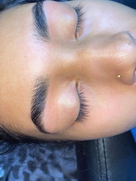 Image of  Brows, Threading, Brow Technique, Arched, Brow Shaping