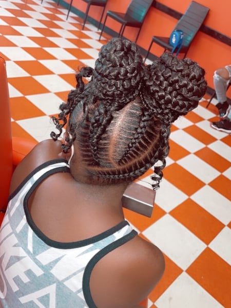 Image of  Hair Texture, 3A, 4C, Braids (African American), Women's Hair, Hairstyles