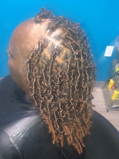 View Women's Hair, Locs, Hairstyles, Hair Extensions, Protective - Danielle Wright, Carson, CA