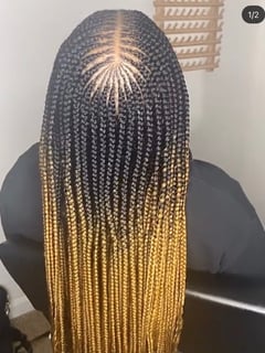 View Braids (African American), Hairstyles - Shaniqua Amerson, Raleigh, NC