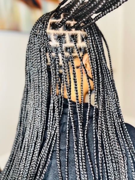 Image of  Women's Hair, Hair Extensions, Hairstyles, Braids (African American)