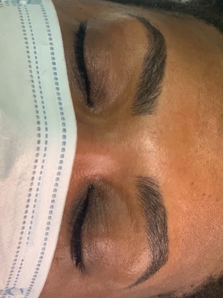 Image of  Brows, Brow Shaping, Brow Technique, Arched, Microblading, Nano-Stroke
