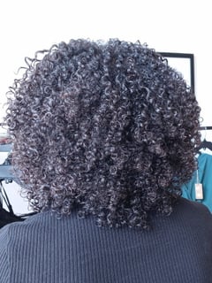 View Women's Hair, Hair Length, 4C, 4B, 4A, 3C, 3B, 3A, Hair Texture, Natural, Hairstyles, Curly, Layered, Curly, Haircuts, Coily, Short Chin Length - Vonnie Morrison, Plano, TX