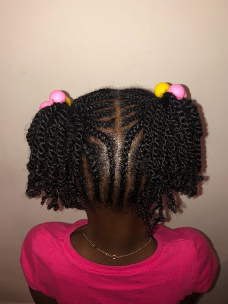 Image of  Natural Hair, Braids (African American), Hairstyle