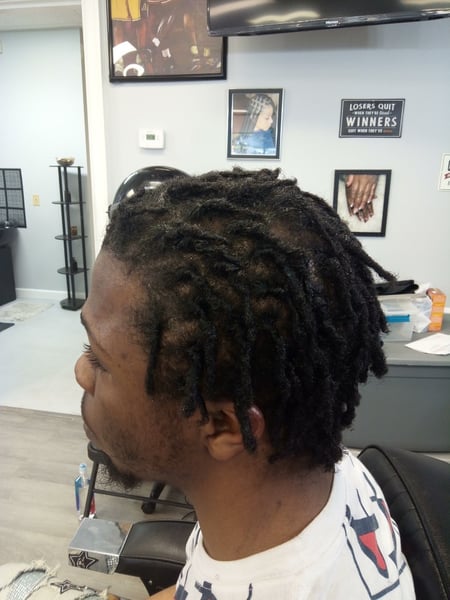 Image of  Kid's Hair, Hairstyle, Braiding (African American), Locs, Protective Styles, Updo, Mohawk, French Braid, Curls