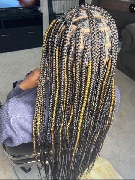 Image of  Women's Hair, Shoulder Length, Hair Length, Braids (African American), Hairstyles, Protective, 3C, Hair Texture