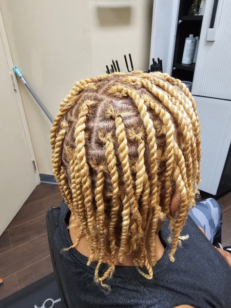 Image of  Blonde, Hairstyles, Women's Hair, Hair Color, Braids (African American), Locs, Protective, Natural