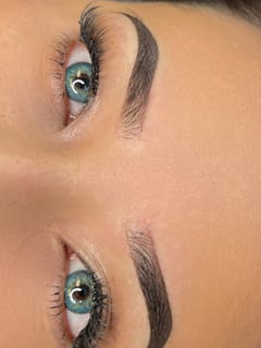 View Ombré, Brows, Brow Shaping, Steep Arch, S-Shaped, Rounded, Straight, Microblading, Nano-Stroke, Arched - Michelle Merry, Fort Lauderdale, FL