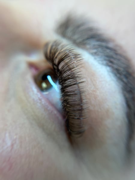 Image of  Lashes, Makeup, Eyelash Extensions, Colors, Brown, Wet Lashes