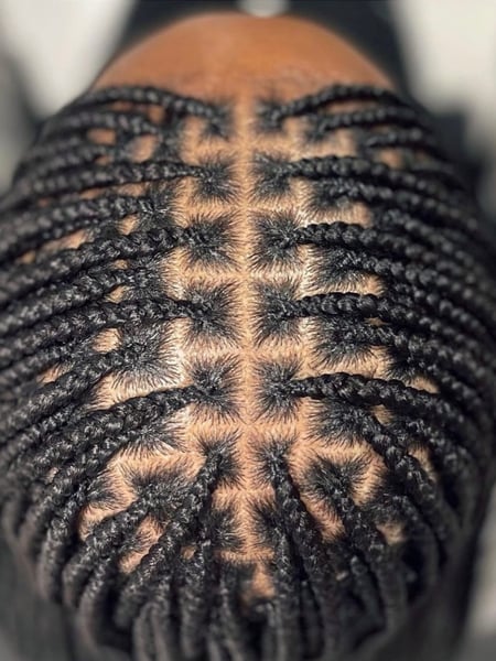 Image of  Women's Hair, Braids (African American), Hairstyles, Straight