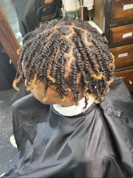 Image of  Protective Styles, Hairstyle, Kid's Hair