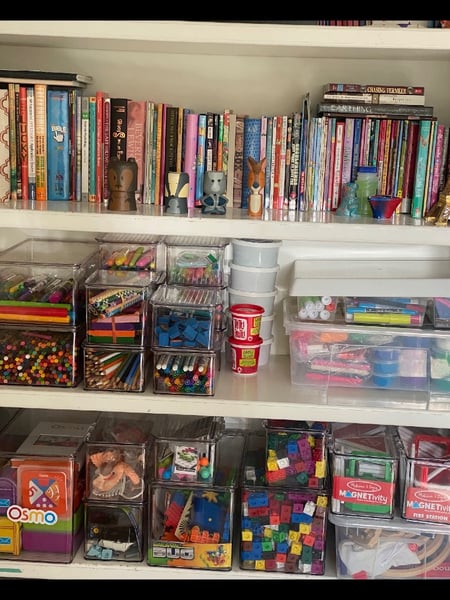 Image of  Professional Organizer, Home Organization, Storage, Kid's Playroom, Garage