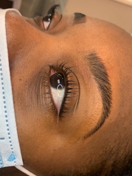Image of  Brows, Brow Shaping, Arched, Brow Technique, Wax & Tweeze, Brow Lamination