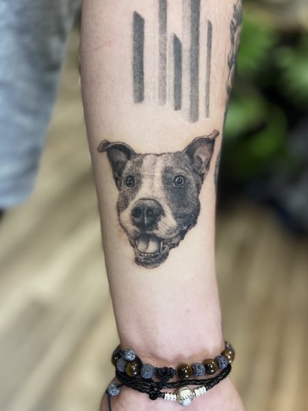 Image of  Tattoos, Tattoo Style, Tattoo Bodypart, Black & Grey, Pet & Animal, Shoulder, Arm , Forearm , Wrist , Hand, Chest , Back, Hip, Thigh, Calf , Ankle 