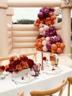 View Arrangement Type, Balloon Garland, Event Type, Birthday, Colors, Purple, Pink, Balloon Decor - Melinda Allard, Orlando, FL