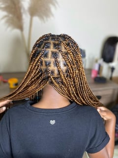 View Braids (African American), Hairstyles, Hair Extensions, Protective - Melody, Lynchburg, VA