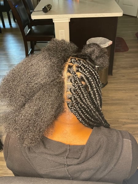 Image of  Braids (African American), Hairstyles, Women's Hair, Hair Extensions