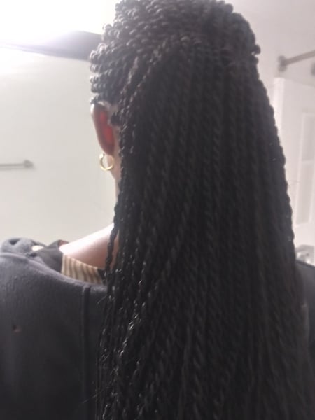 Image of  Women's Hair, Braids (African American), Hairstyles, 4C, Hair Texture, 3A