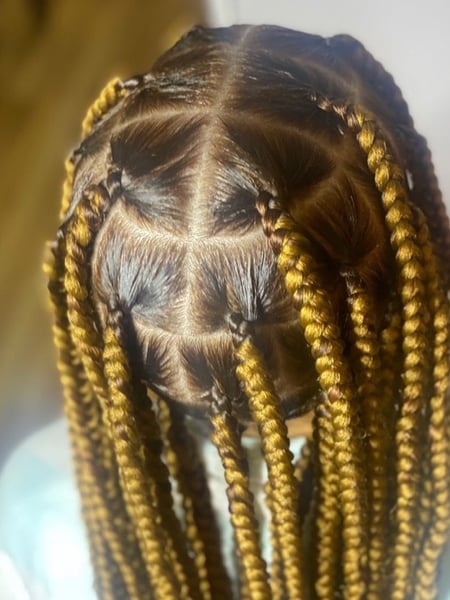 Image of  Hair Texture, 3B, 3C, 4A, 3A, 4B, 4C, 2C, 2A, 2B, Natural Hair, Braids (African American), Protective Styles (Hair), Women's Hair, Hairstyle