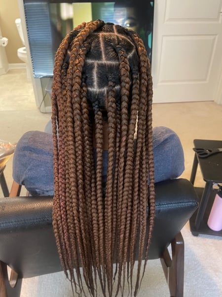 Image of  Braids (African American), Protective Styles (Hair), Hairstyle