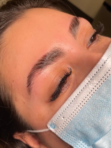 Image of  Brows, Brow Shaping, Arched, Wax & Tweeze, Brow Technique, Brow Lamination